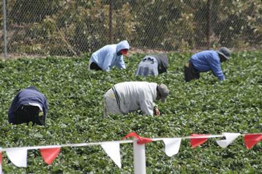 Modern slavery