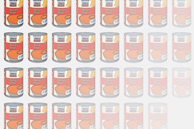 one use WEB image Soup