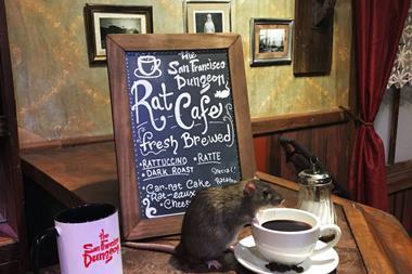 rat cafe