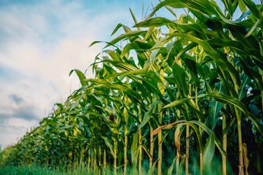 GettyImages-2231793413