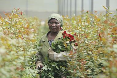 Rebecca Amoth who works on Shalimar Flower Farm in Naivasha, Kenya
