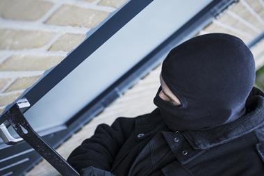 Thief burglar crime