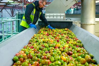 Green apples on conveyor