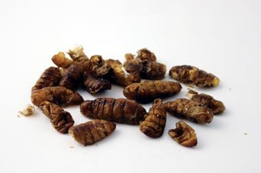 Toasted Silkworm Pupae