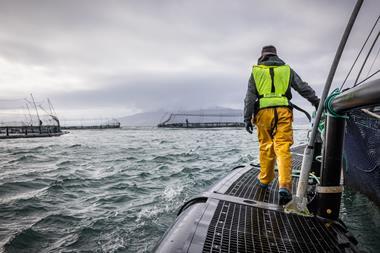 Salmon farm - Salmon Scotland