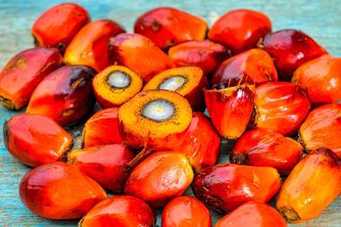 palm oil