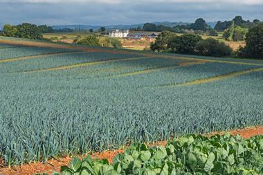 leek field uk - getty