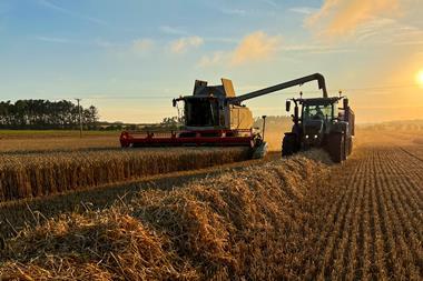 Harvesting the Crop of Winter Wheat - stock photo