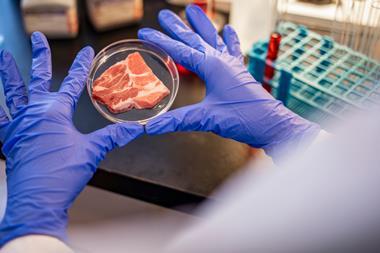 lab grown meat