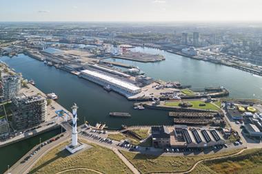 Flemish Fish Auction