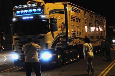 One Use - a 2015 protest against live animal exports in Kent