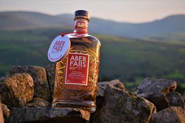 Aber Falls 2021 Release (1)