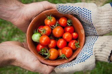 elaine-casap-qgHGDbbSNm8-unsplash