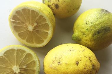 riverford lemons