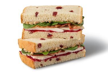Festive Feast Sandwich (Turkey)