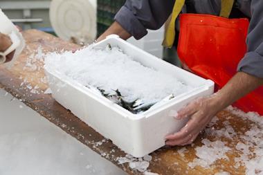 frozen fish fishing supply chain