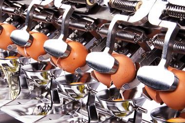 Eggs in manufacturing