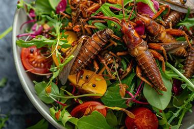 2054-bug-salad