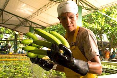 Fyffes Announces its Human Rights Mitigation Action Plan