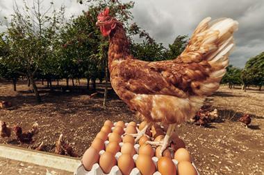 Morrisons Eggs For Farmers2
