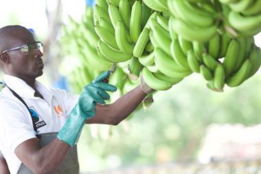 fairtrade banana