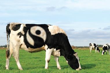 Do British milk farmers need fair trade protection?