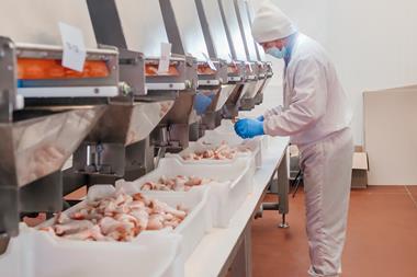 Meat chicken poultry production factory worker