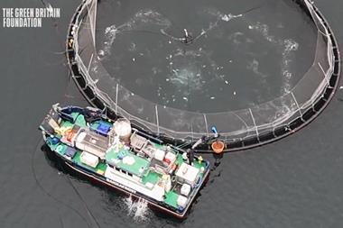 GBF Portree Video for media - The Green Britain Foundation