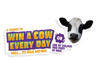 Win A Cow Every Day Competition