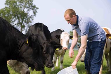 Lidl_Supplier_Beef