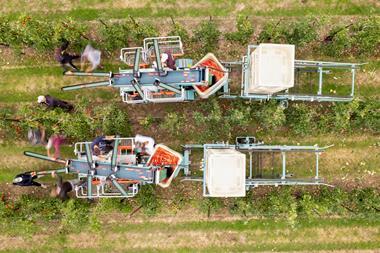 FSP_Apple_Harvest_014