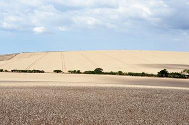 dorset cost drought - getty