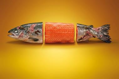 farmed salmon by Project Slingshot