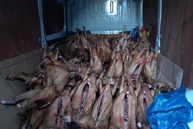 Sheep carcasses thought to be subject to smoking process discovered in a van in London Monday 25 November 2024