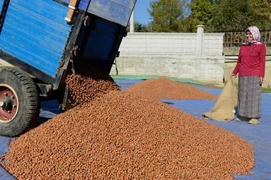 lorry full of nuts, nut prices ease