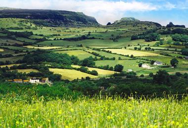 Ballinfad, County Sligo, Ireland_Landscape