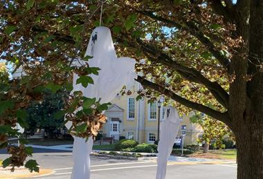 Trick or Tree Ghouls cropped