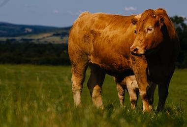 promo feature (1) resized