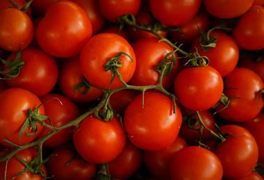 tomatoes unsplash
