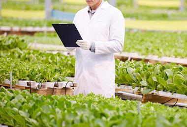 GMO precision breeding crops greenhouse science farming farm