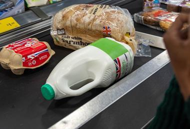 bread eggs milk shopping basics essentials