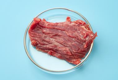 Cultivated meat lab meat