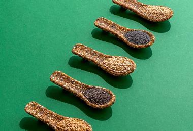 eddys sustainable edible spoons