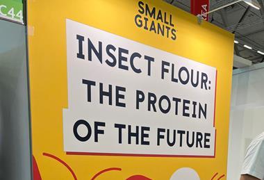 Protein 2