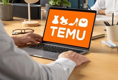 temu mockup