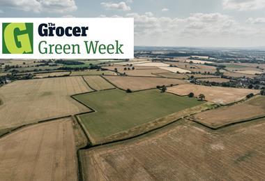 Green Issue - 1