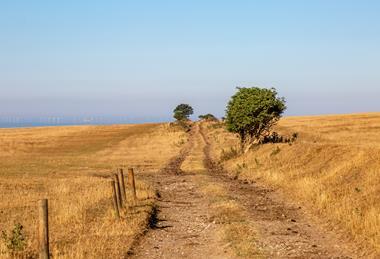 Sussex heatwave farm climate field parched hot weather GettyImages-1000918954