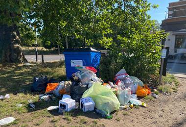 Litter rubbish bins