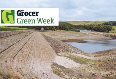 Green Issue - 1