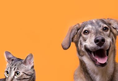 GettyImages-172974164